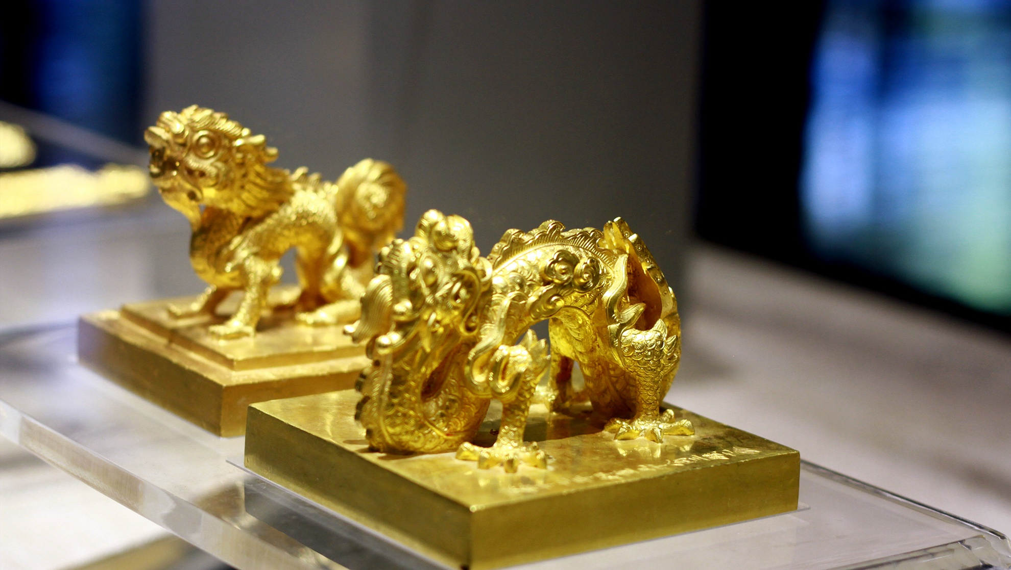 Bao vat rong phuong trieu Nguyen anh 3