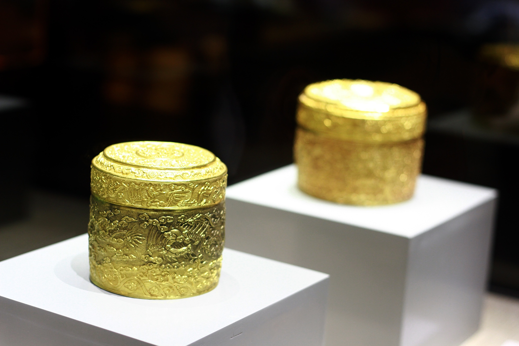 Bao vat rong phuong trieu Nguyen anh 4