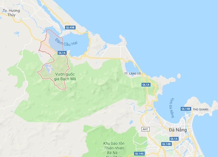 Ôtô khách chở 200 kg rắn ảnh 3 Oto khach cho 200 kg ran anh 3