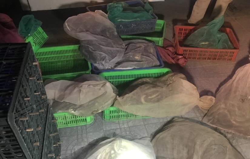 Ôtô khách chở 200 kg rắn ảnh 2 Oto khach cho 200 kg ran anh 2