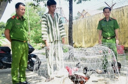 Bat qua tang 54 nguoi tham gia sat phat tren soi ga hinh anh