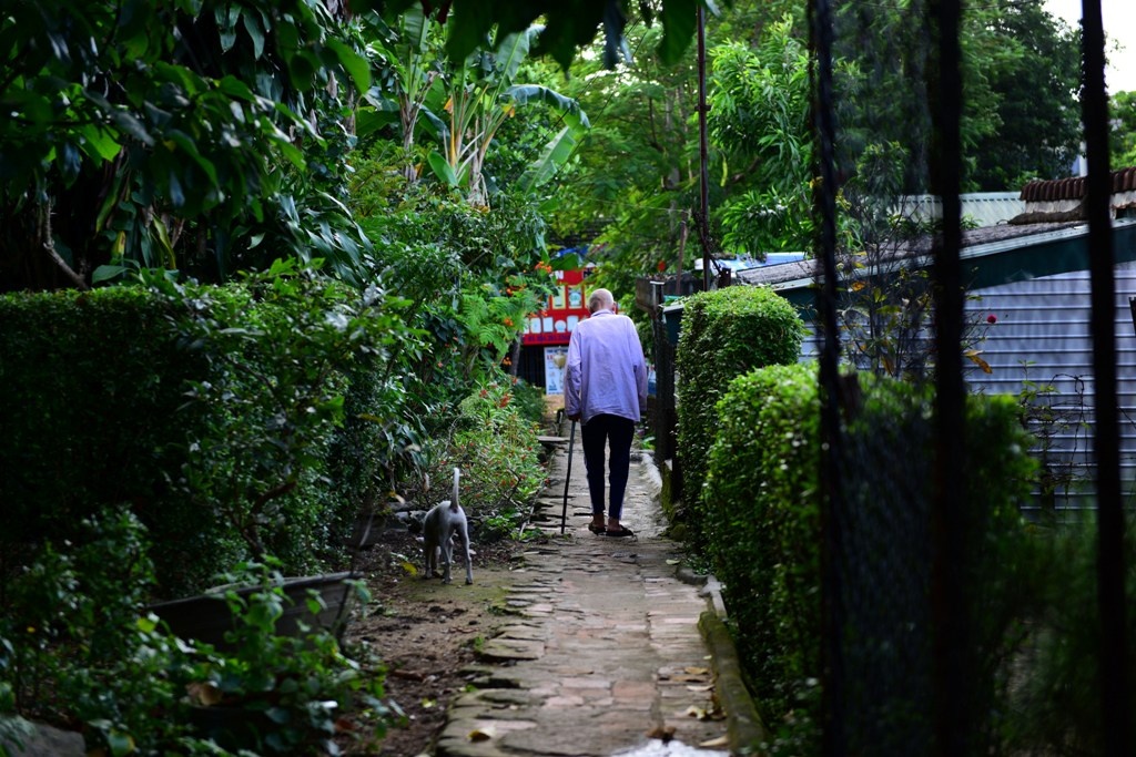 Di doi 4.200 ho dan kinh thanh Hue anh 13