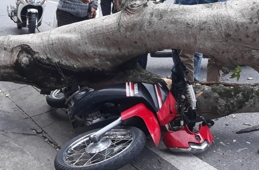 Cay co thu nga de xe may, nguoi dan ong thoat chet trong gang tac hinh anh