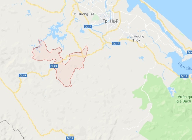 Dau dan trong vuon anh 2