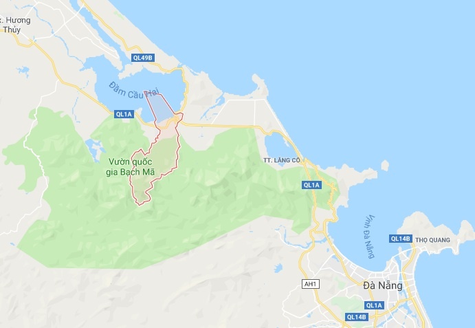 Chim gắn thiết bị định vị ảnh 2 Chim gan thiet bi dinh vi anh 2