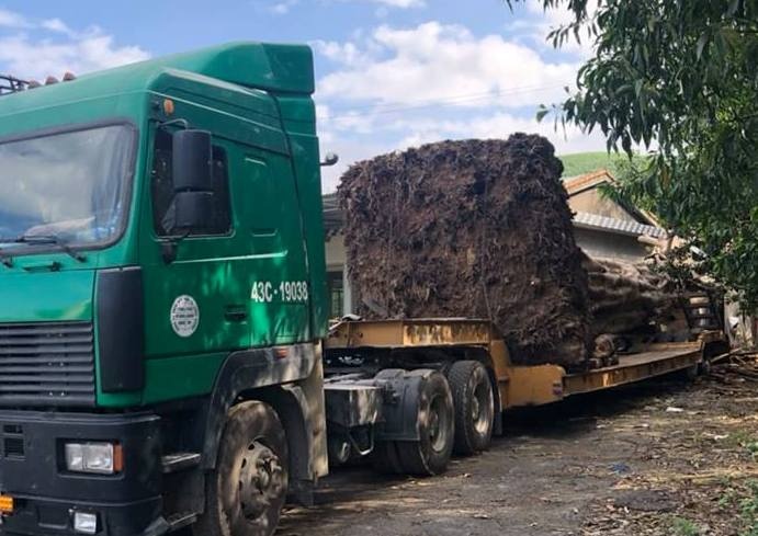 Xe cho cay khung anh 1