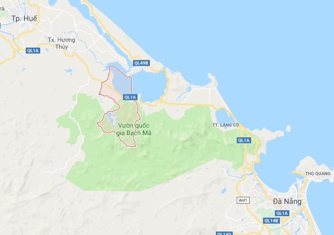 Xe cho cay khung anh 2