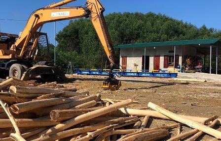 Chinh quyen xa lam ngo cho tram can thu mua go khong phep hoat dong? hinh anh