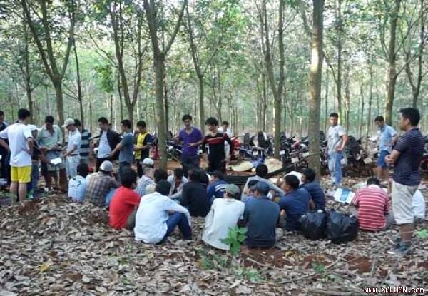 Canh sat dot kich soi bac trong khu rung tram luc rang sang hinh anh