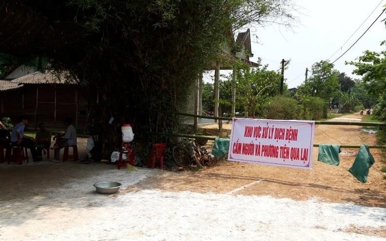 Lợn rừng trong khu nghỉ dưỡng bị dịch ảnh 1 Lon rung trong khu nghi duong bi dich anh 1