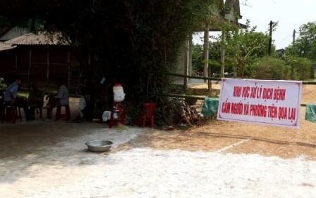 Dan lon rung trong khu nghi duong bi dich lon chau Phi hinh anh