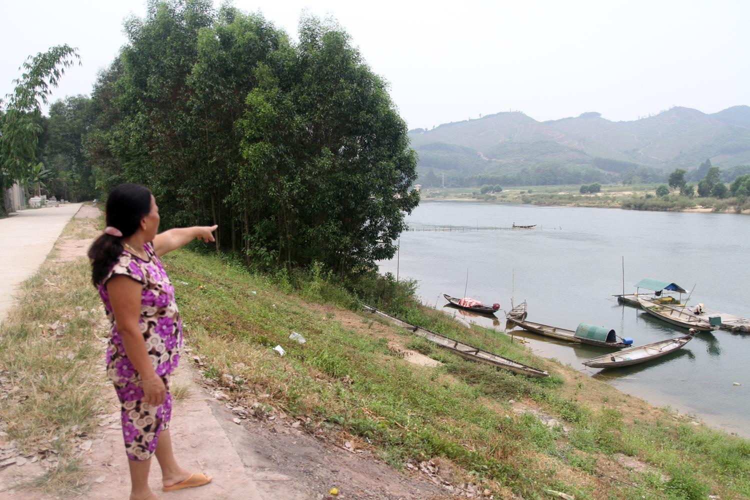 Dong coc tre ngan cat tac anh 2