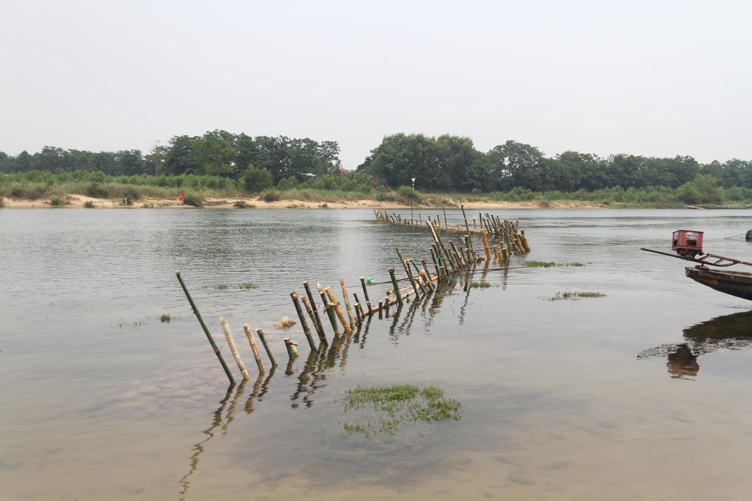 Dong coc tre ngan cat tac anh 1