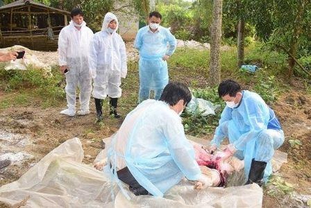 Hue cong bo het dich ta lon chau Phi sau 2 thang bung phat hinh anh