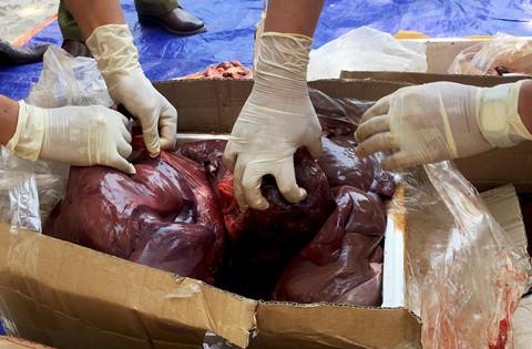 Oto khach bien so Lao cho 1,6 tan noi tang khong ro nguon goc hinh anh