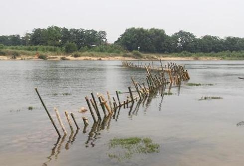 Nguoi dan thao do 'tran dia' coc tre ngan cat tac tren song Bo hinh anh