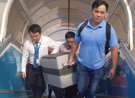 Benh nhan o Hue duoc cuu song nho qua tim tu Ha Noi hinh anh