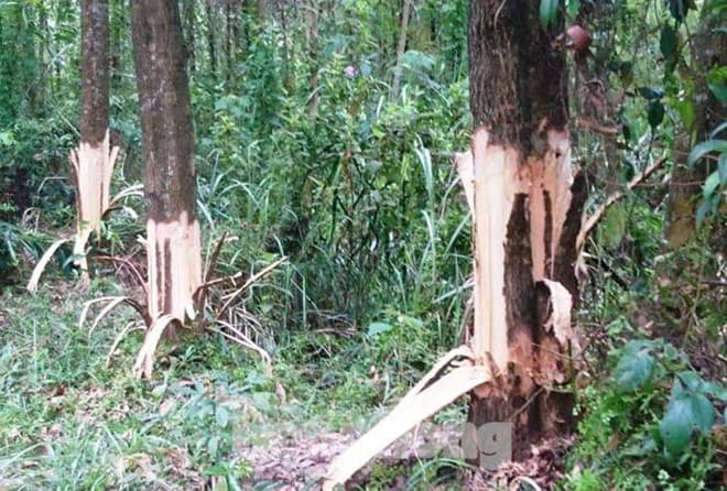 Bí thư xã xin thôi chức ảnh 2 Bi thu xa xin thoi chuc anh 2