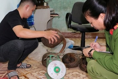 Canh sat truy duoi doi nam nu cho trai phep 5 con te te hinh anh