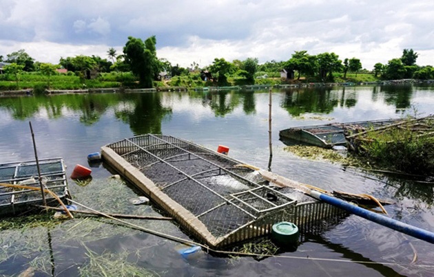 Dien giat tu vong anh 1