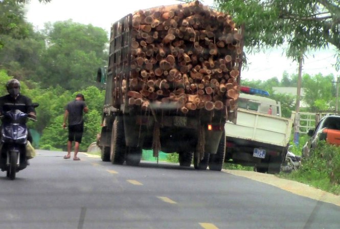 Trung tá CSGT bị kỷ luật ảnh 1 Trung ta CSGT bi ky luat anh 1