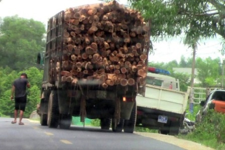 Ky luat trung ta CSGT sau vu tai xe vao trinh dien trong nha dan hinh anh