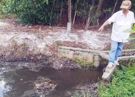 Nha may xa thai o nhiem bi phat gan 500 trieu dong hinh anh