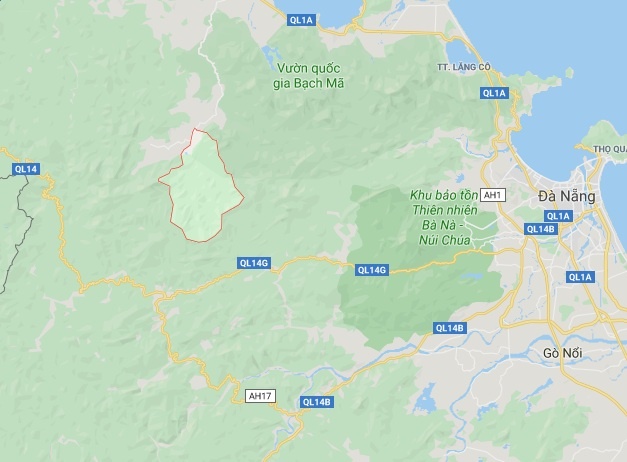 mot nguoi bi cay rung de chet anh 1