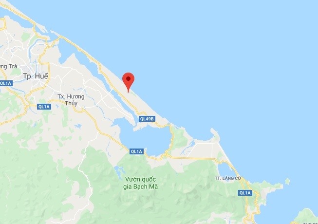 Cá heo trôi dạt vào bờ biển ảnh 2 Ca heo troi dat vao bo bien anh 2