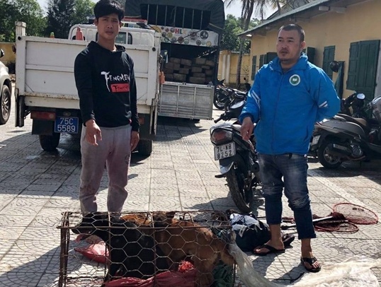 Trộm chó ảnh 1 Trom cho anh 1