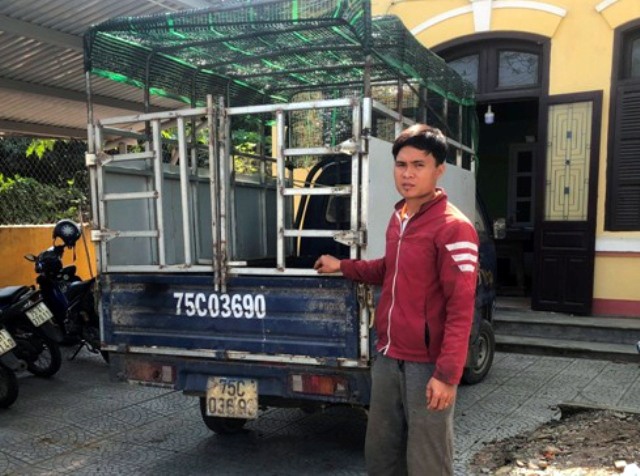 Danh oto di trom cay canh anh 1