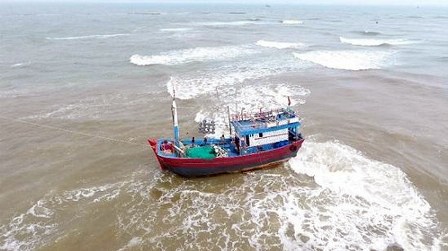 Tau ca cho 11 ngu dan tong phai da tren bien hinh anh