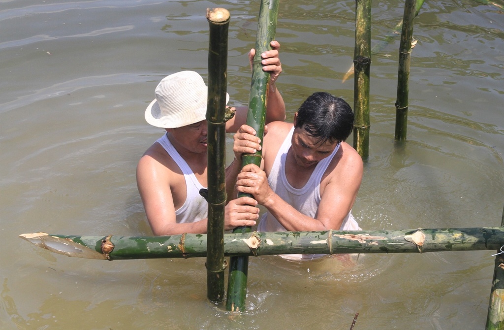 Lam cau tre ngan cat tac anh 1