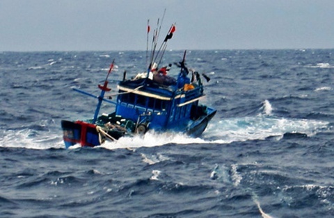 Tau ca Quang Tri mat tich tren Bien Dong hinh anh