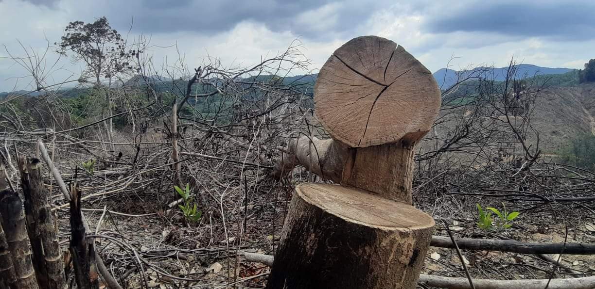 Pha 2 ha rung dau nguon anh 1