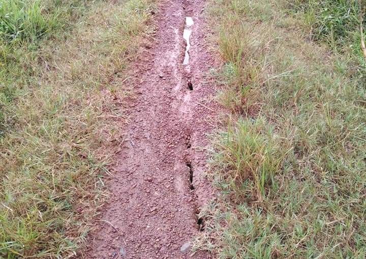 Sut lun canh mo da anh 1