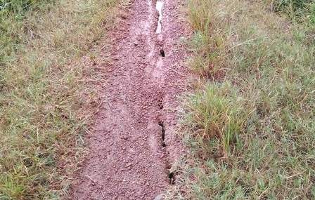 Duong nut ne nghi do hoat dong no min mo da hinh anh