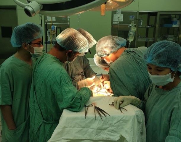 Ghép thân tự thân đầu tiên ảnh 1 Ghep than tu than dau tien anh 1