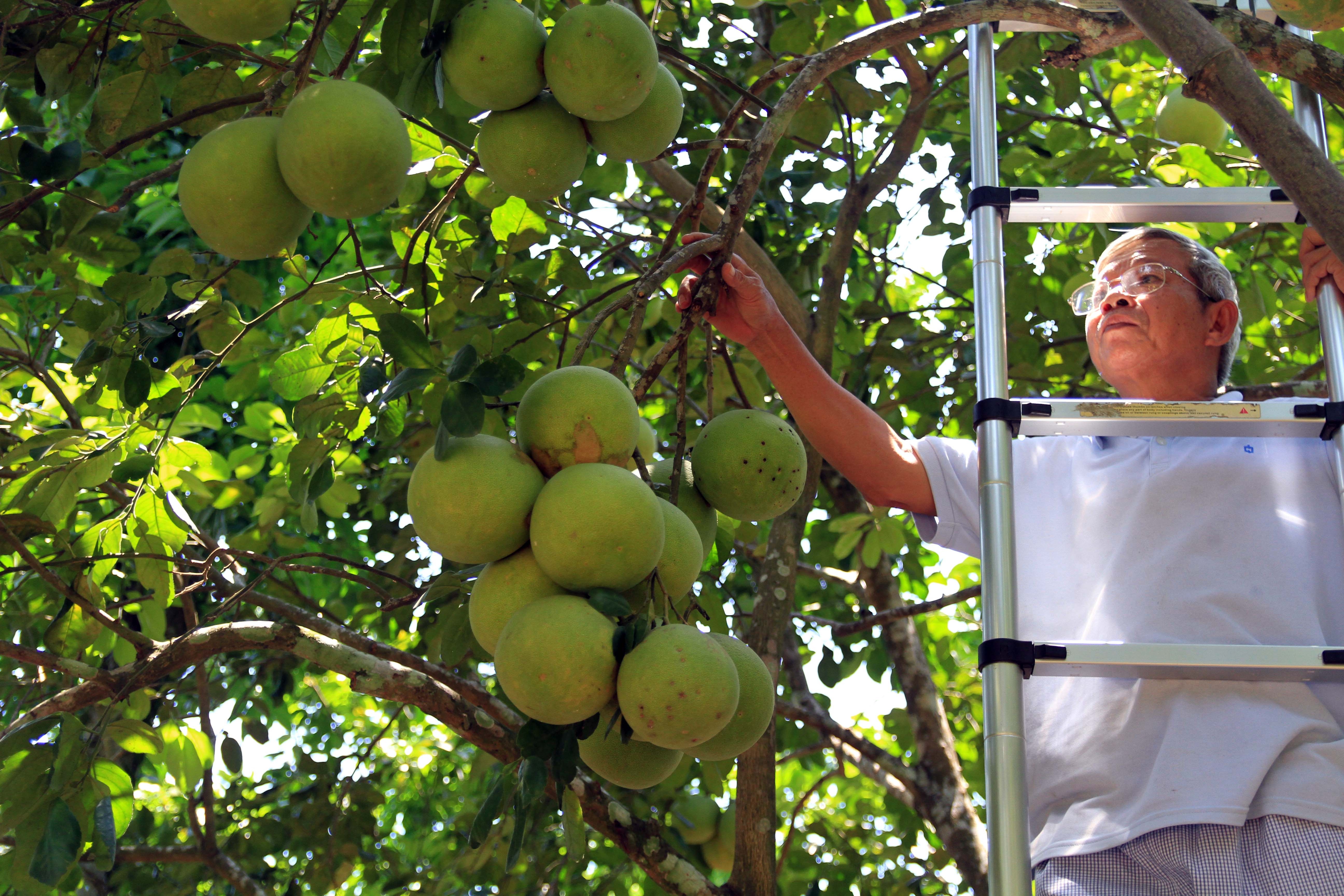 Thanh tra Thuy Bieu anh 5