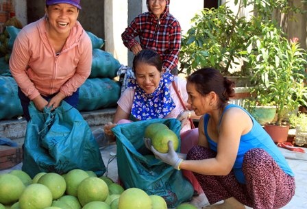 Thu phu thanh tra vao mua hinh anh