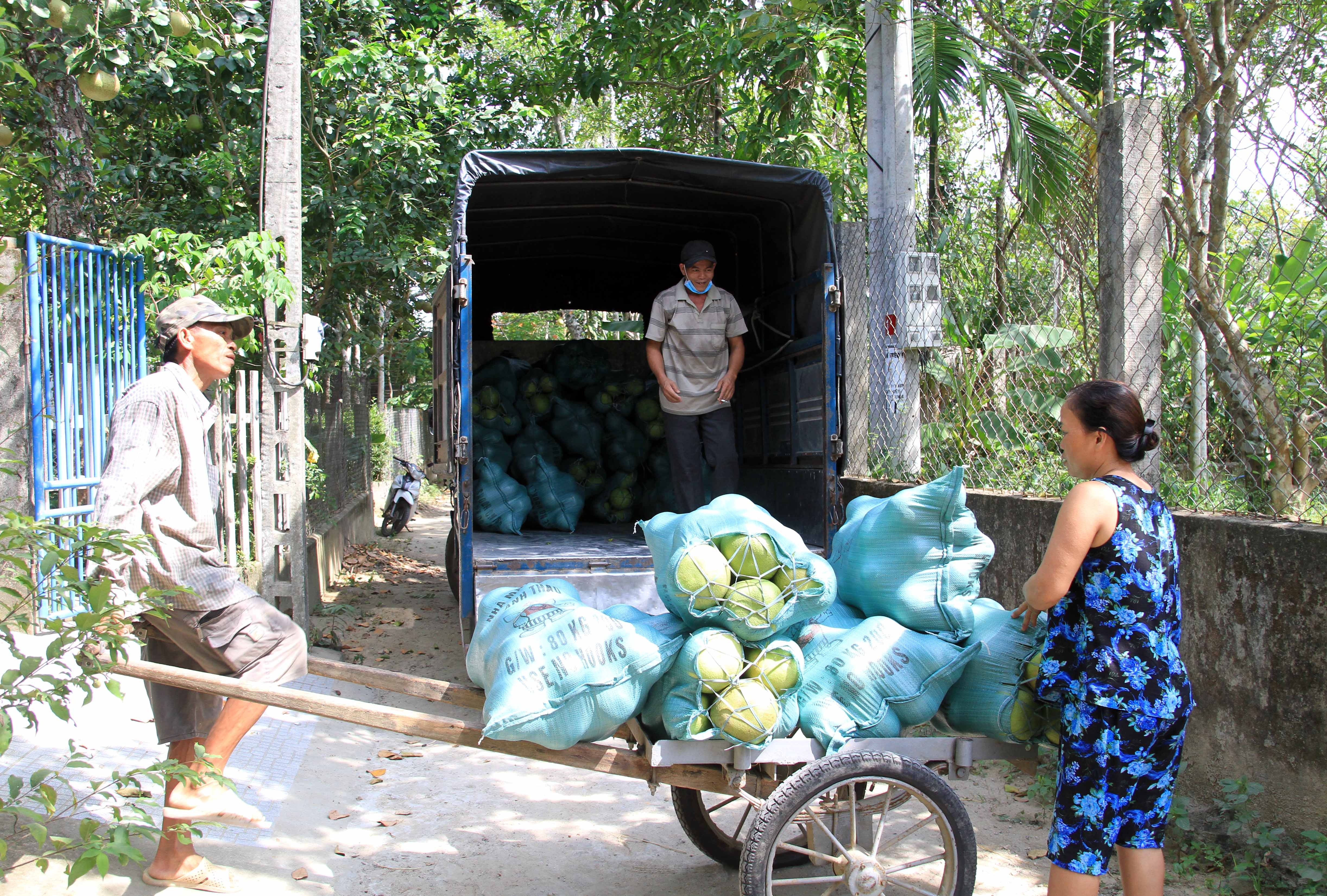 Thanh tra Thuy Bieu anh 9