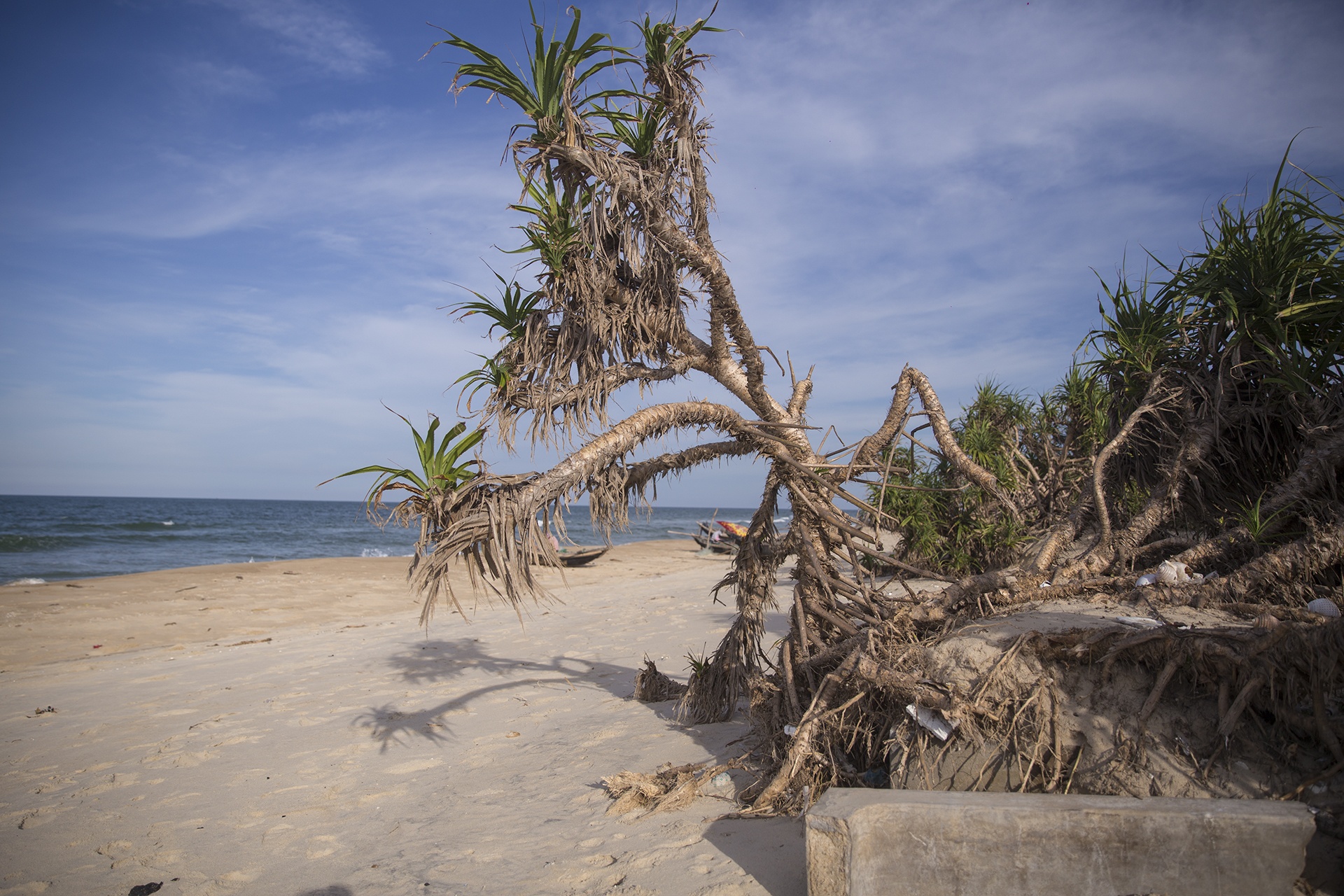 Bo bien Thua Thien - Hue sat lo nghiem trong anh 7