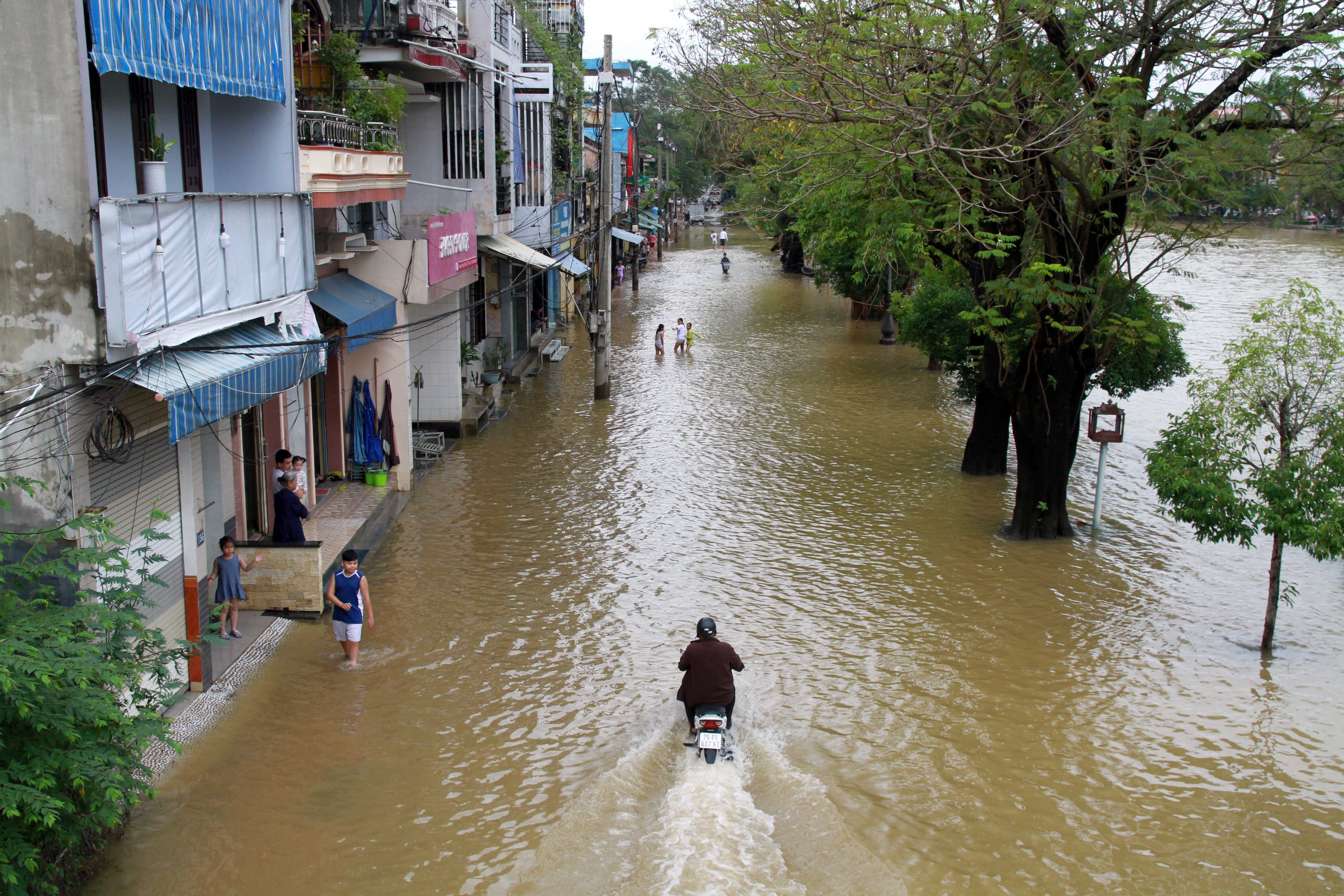 Dua xe di tranh lu anh 1
