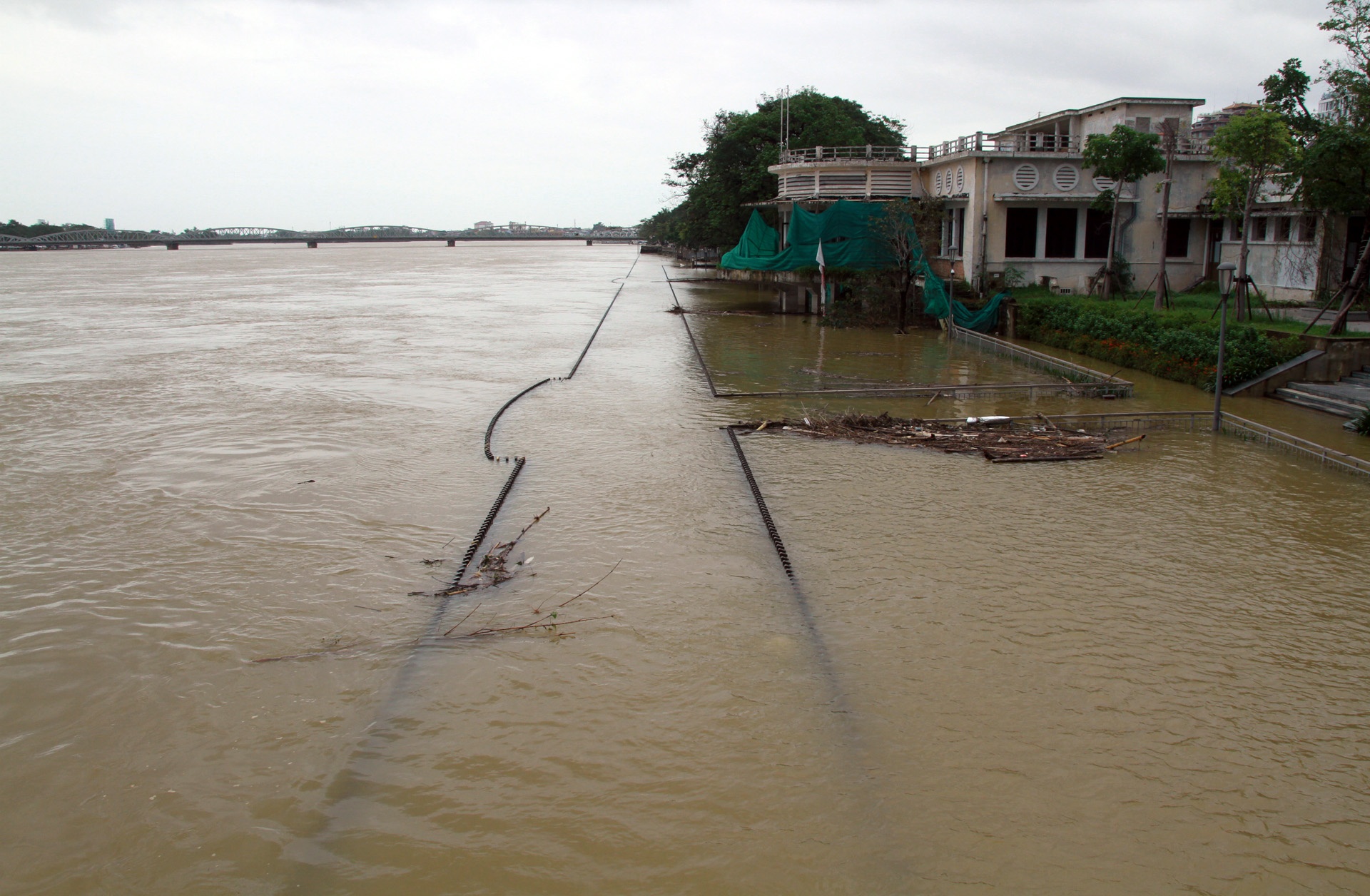 Dua xe di tranh lu anh 10