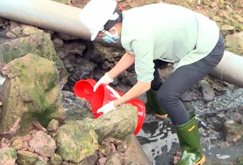 Trang trai lon xa thai gay o nhiem moi truong hinh anh