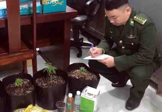 Phat hien thanh nien trong can sa trong nha hinh anh