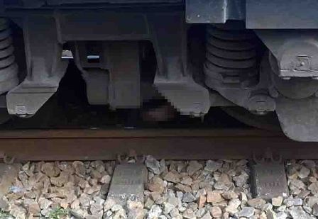 Nguoi phu nu mac ket duoi gam tau hinh anh