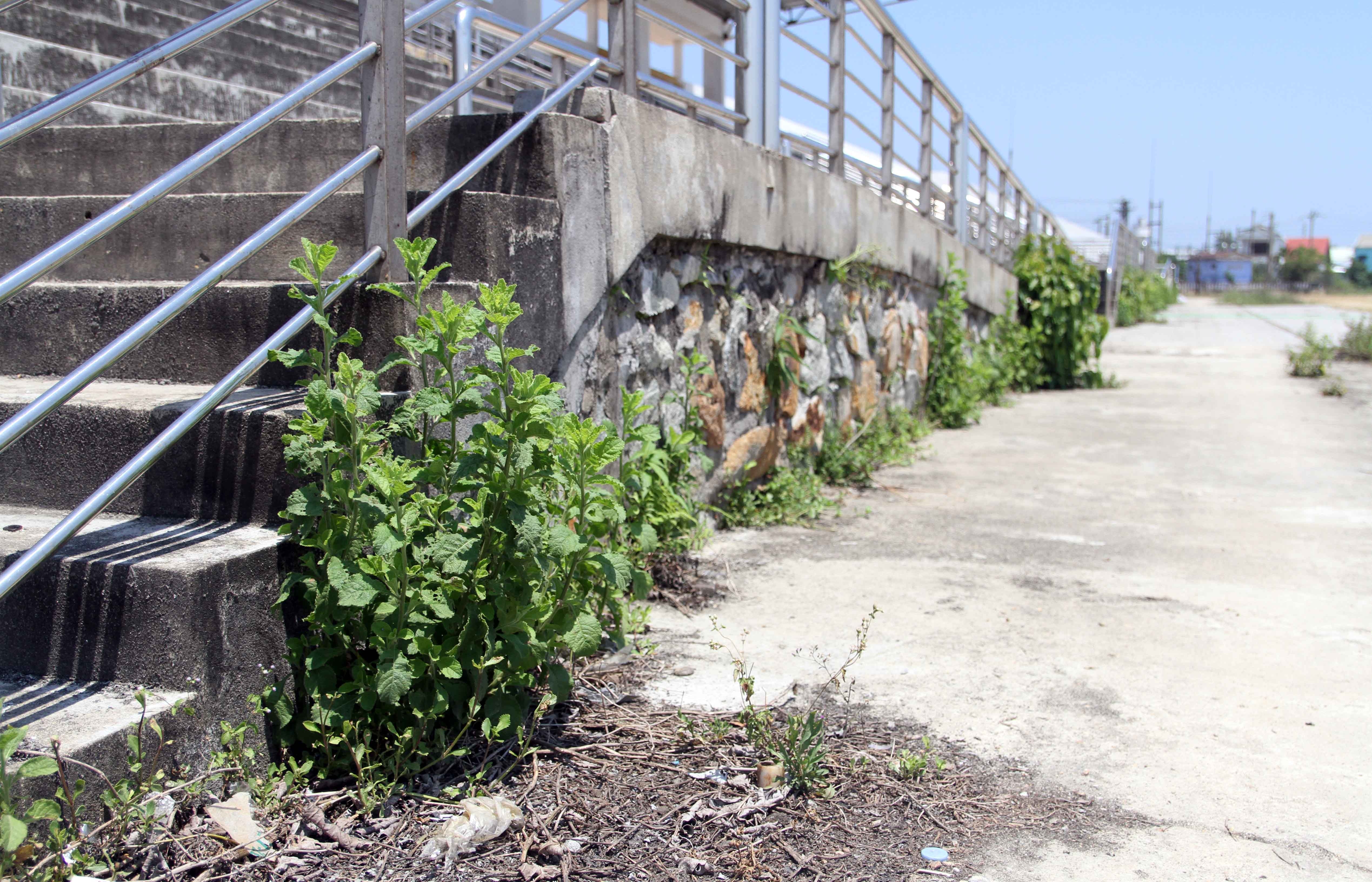 San van dong bo hoang anh 10