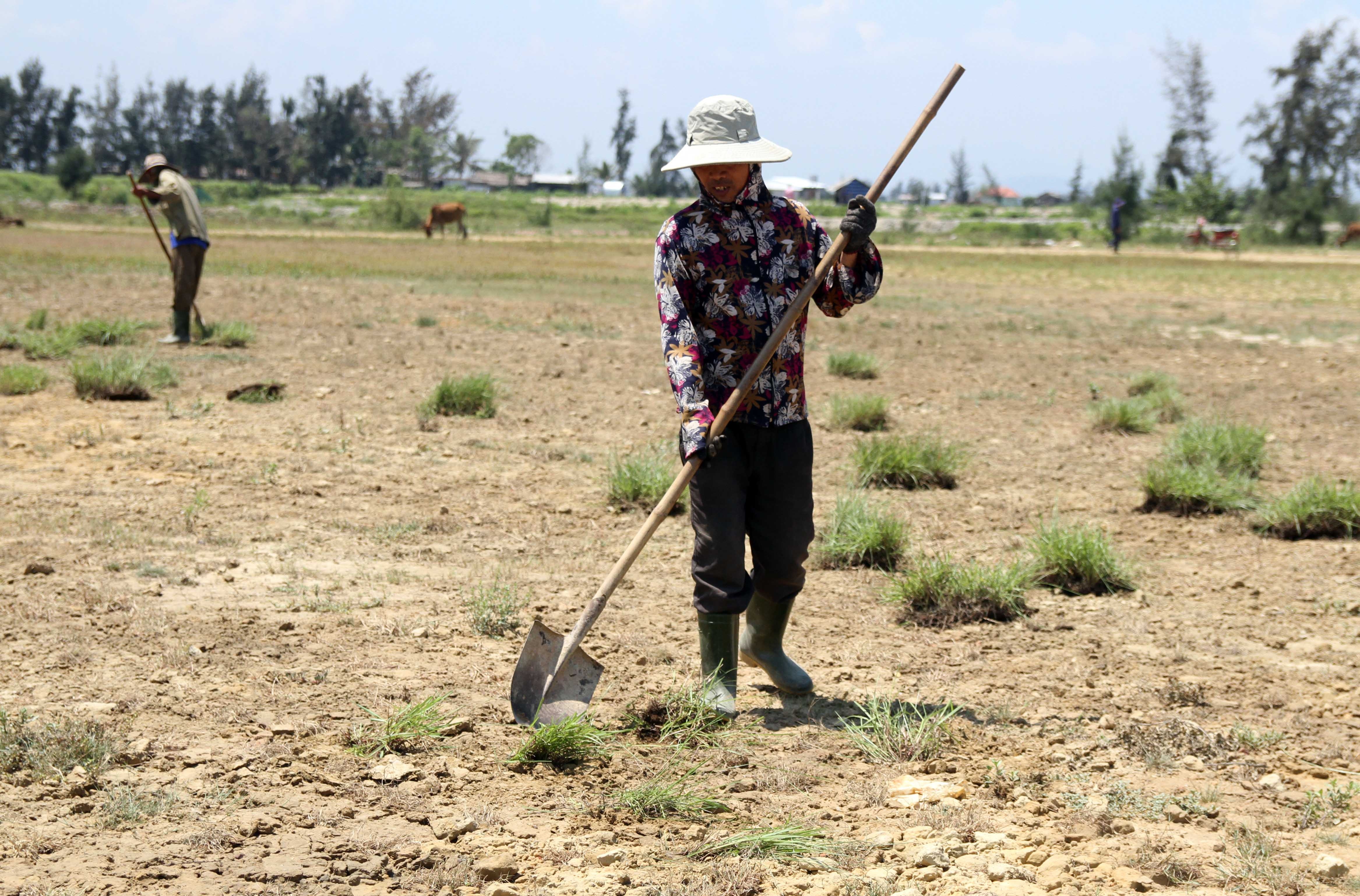San van dong bo hoang anh 9