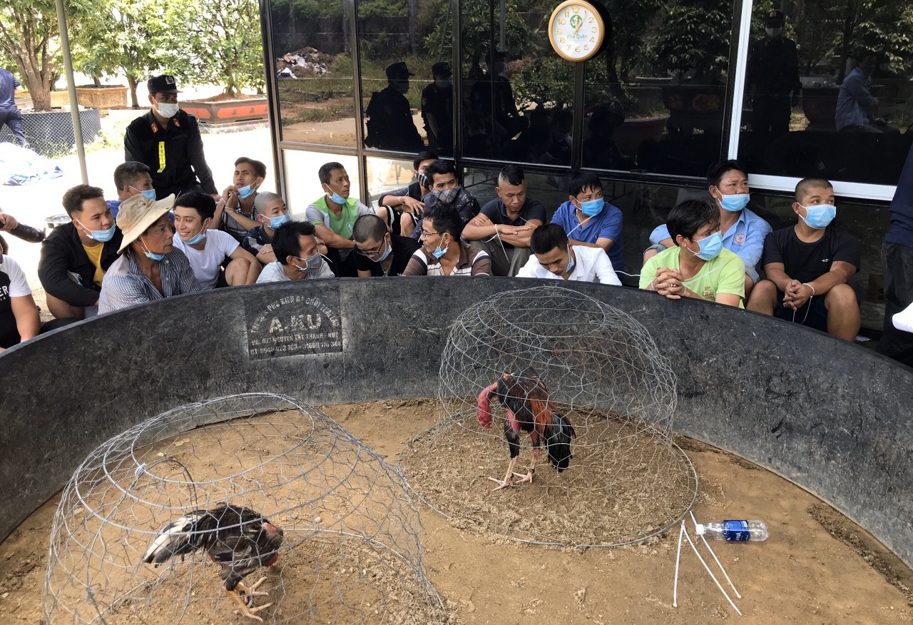 Phá sới gà ảnh 1 Pha soi ga anh 1